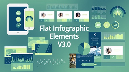 Videohive Flat Infographic Elements V3.0