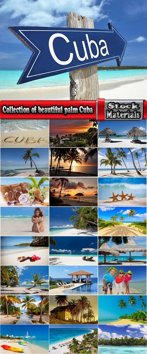 Collection of beautiful palm tree beach of a bungalow Cuba sand sea vacation 25 HQ Jpeg