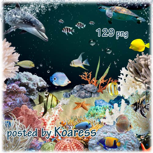 Клипарт для коллажей на тему коралловый риф - кораллы, водоросли, тропические рыбки, губки, камни, ракушки, морские звезды