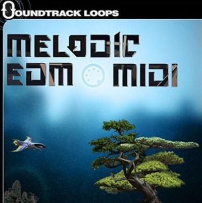 Soundtrack Loops Melodic EDM MULTiFORMAT 