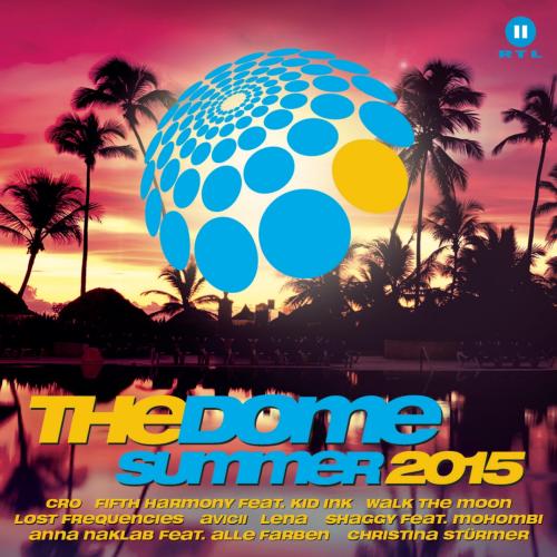 VA - The Dome Summer (2015)