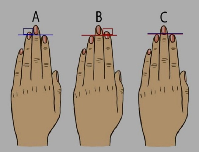 Как узнать характер по длине пальцев
