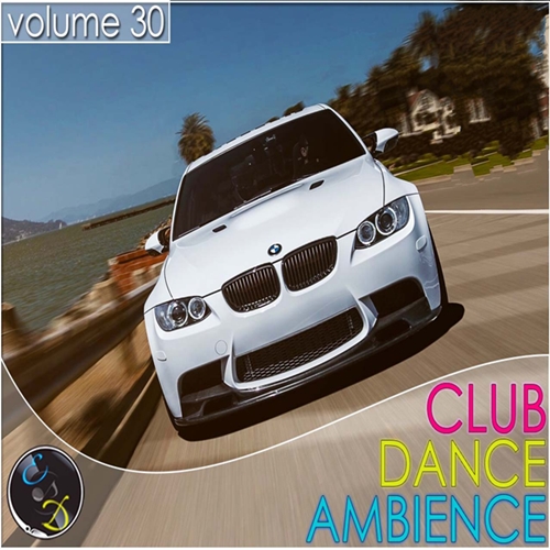 Club Dance Ambience vol.30 (2015)