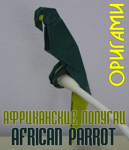  Оригами африканские попугаи (2015) 