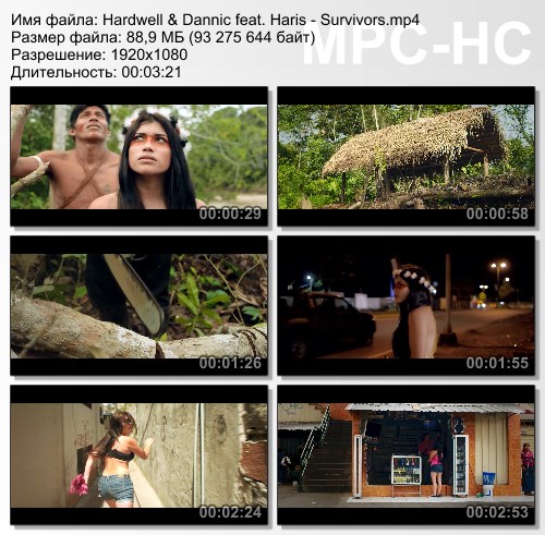 Hardwell & Dannic feat. Haris - Survivors (2015) HD 1080