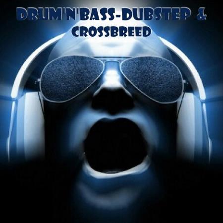 VA - Drum'N'Bass - Dubstep & Crossbreed (2015)