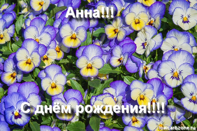 http://i70.fastpic.ru/big/2015/0812/bf/262de066aab05c281372bfc1dc6a31bf.jpg