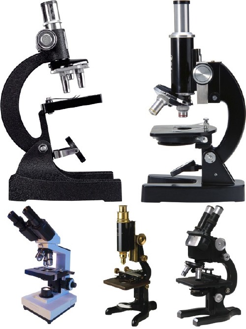 Лабораторное оборудование: Микроскоп (прозрачный фон)