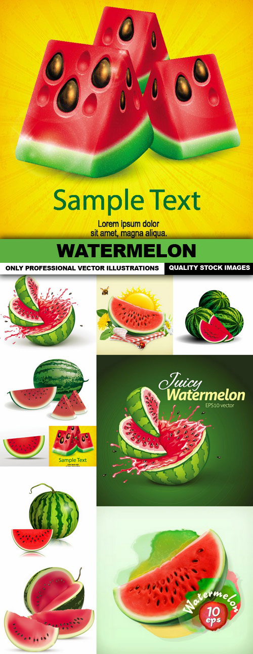 Watermelon  Vector 5
