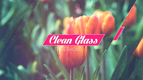 Clean Glass Slideshow 12574355 - Project for After Effects (Videohive)