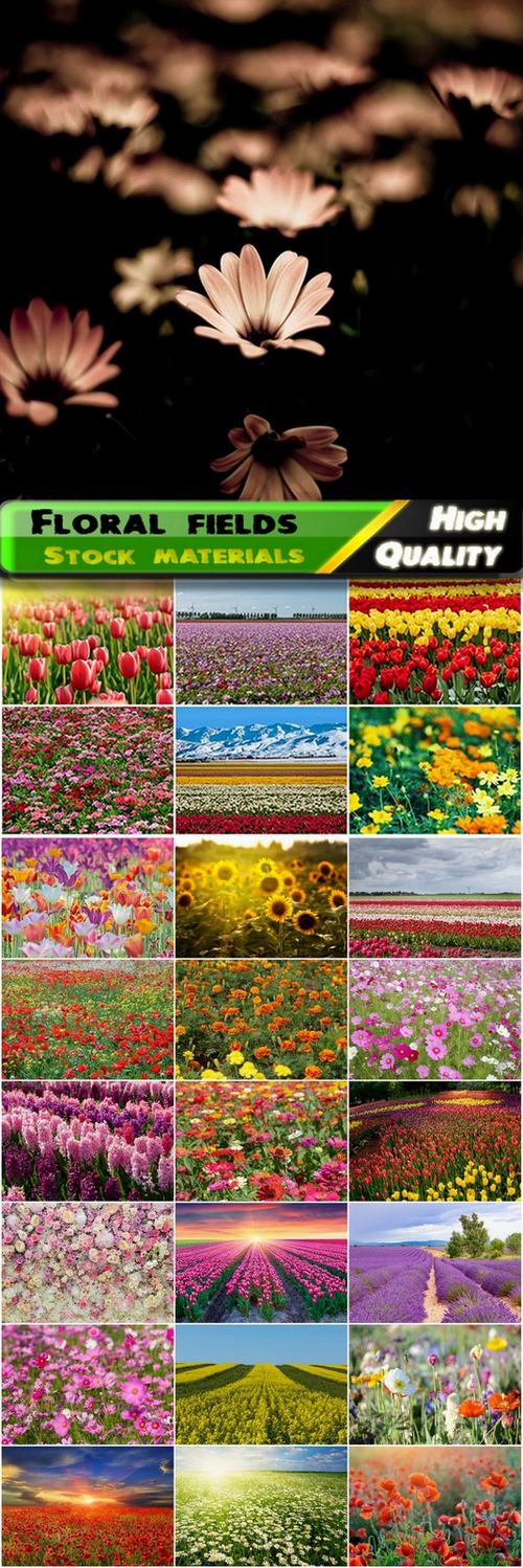 Floral fields and beautiful nature landscapes - 25 HQ Jpg