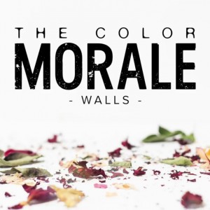 The Color Morale - Walls (Single) (2016)